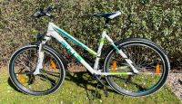 Bulls Sharptail Street Damenfahrrad, 26 Zoll Frankfurt am Main - Kalbach Vorschau