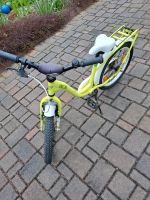 Kinderfahrrad 18er Sachsen - Reinsdorf Vorschau