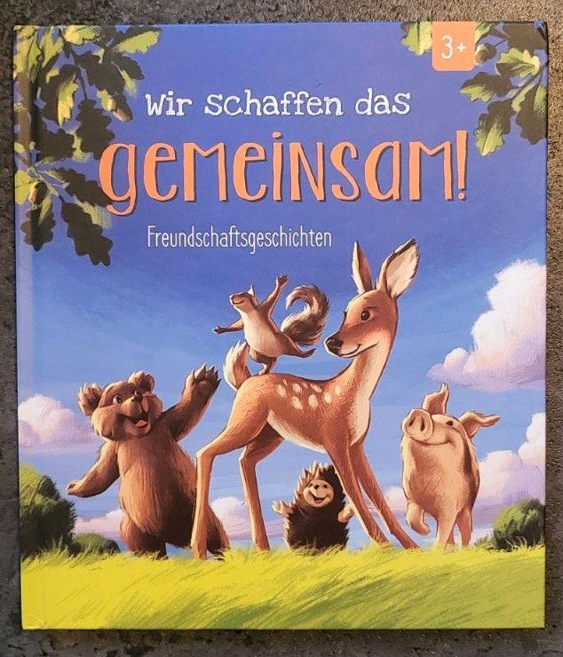 ► Wir schaffen das gemeinsam! Freundschaftsgeschichten Kinderbuch in Lübeck