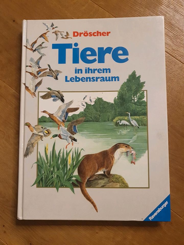 Tiere in ihrem Lebensraum Buch Wissem Ravensburger Kinder in Korntal-Münchingen