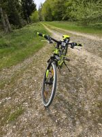 Mountainbike von Bergsteiger Baden-Württemberg - Laupheim Vorschau