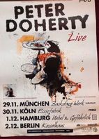 PETER DOHERTY Konzert Plakat in A1 Berlin - Neukölln Vorschau