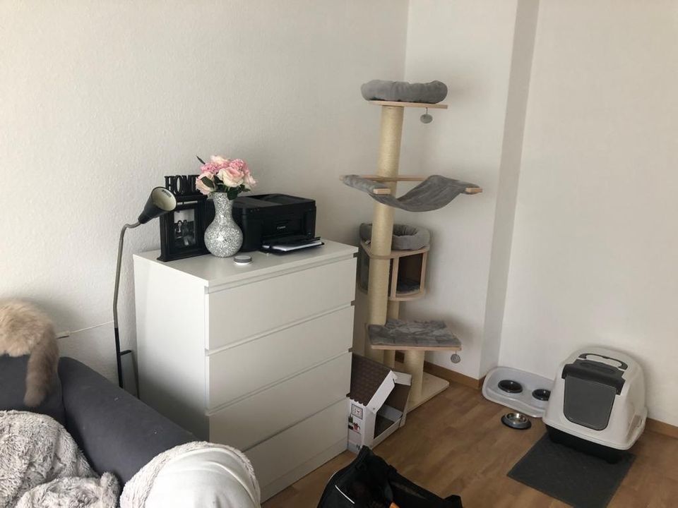 WG Zimmer in 3 Zimmer Wohnung Ringallee in Gießen