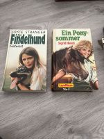 Günstige Bücher Der Findelhund und Ein Pony Sommer Niedersachsen - Rinteln Vorschau
