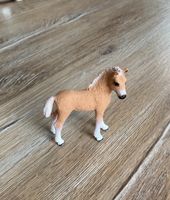 Curly Horse Fohlen | Schleich Pferde Niedersachsen - Rühen Vorschau