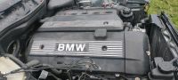 BMW E39 Motor 523i m54 b25 Harburg - Hamburg Hausbruch Vorschau