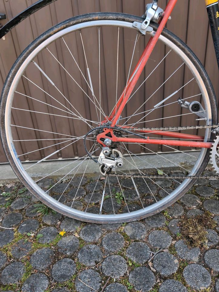 Raleigh record Rennrad (gemuffter Stahlrahmen) in München