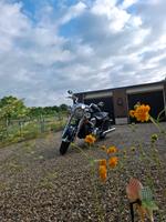 Indian Chief Classic Nordrhein-Westfalen - Voerde (Niederrhein) Vorschau