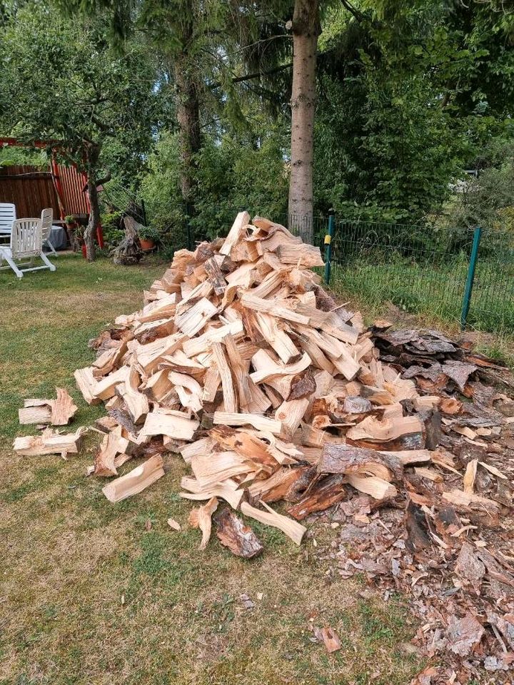 Baumklettern, Baumpflege, Baumfällung, Gartenpflege Heckenschnitt in Elmenhorst/Lichtenhagen