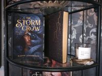 The Storm Crow - Kalyn Josephson (fairyloot illumicrate) Nordrhein-Westfalen - Kerpen Vorschau