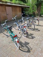 Fahrräder gebraucht Schleswig-Holstein - Willenscharen Vorschau