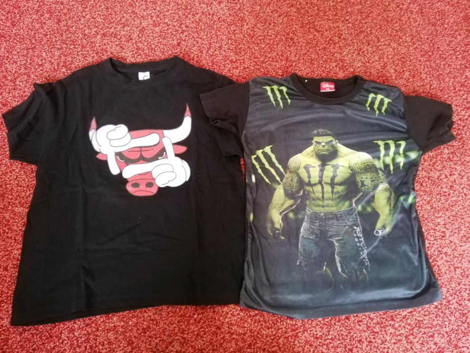 T-Shirts 116 Stier und Hulk in Winnert