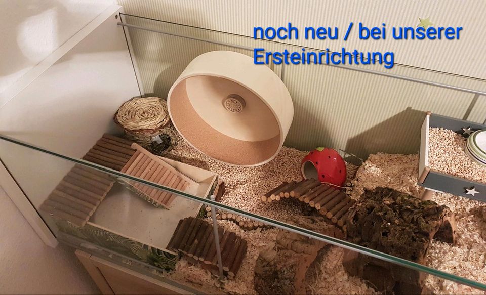 Hamstergehege Detolf Vitrine + Zubehör / auch einzeln in Flieth-Stegelitz