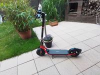 Scooter, Ninebot Kick Escooter Bielefeld - Sennestadt Vorschau