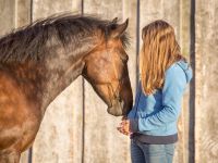 Pflege/Reitbeteiligung Niedersachsen - Ritterhude Vorschau