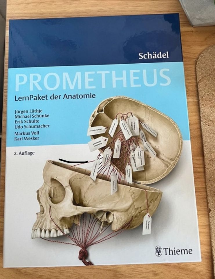 Prometheus Lernpaket der Anatomie Schädel NEU 2. Auflage in Hannover