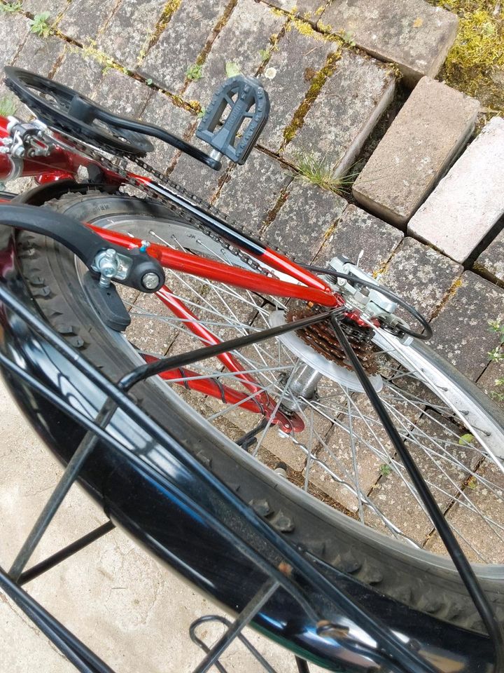 Damen-/Mädchen Fahrrad 26 Zoll in Altendiez