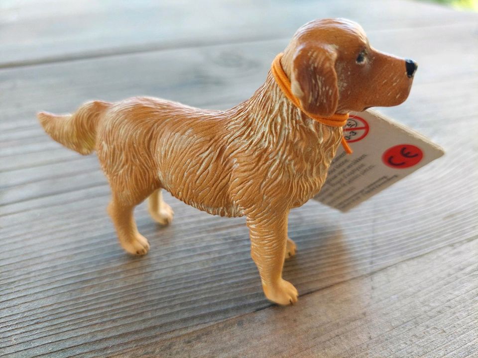 tiptoi® Spielfigur Golden Retriever Rüde 3099 in Merching