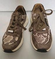 Jette Joop  Schuhe Sneaker Gr.37 Nordrhein-Westfalen - Eschweiler Vorschau
