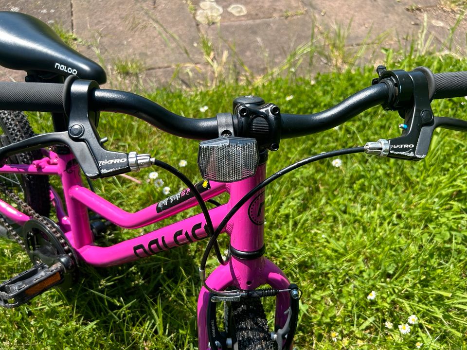 Naloo chameleon 16 Zoll Fahrrad pink in Dortmund