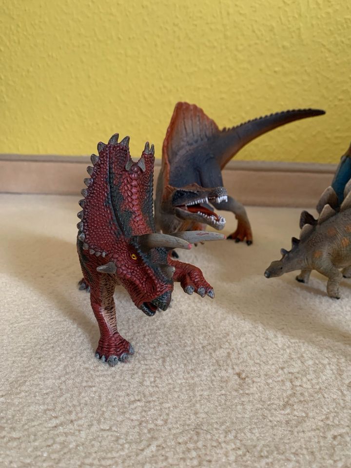 Schleich Dinosaurier Dino Setpreis in Altlandsberg