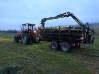 Holztransporte Stammholz Brennholz Rückewagen Holzrücken Poltern Bayern - Baunach Vorschau