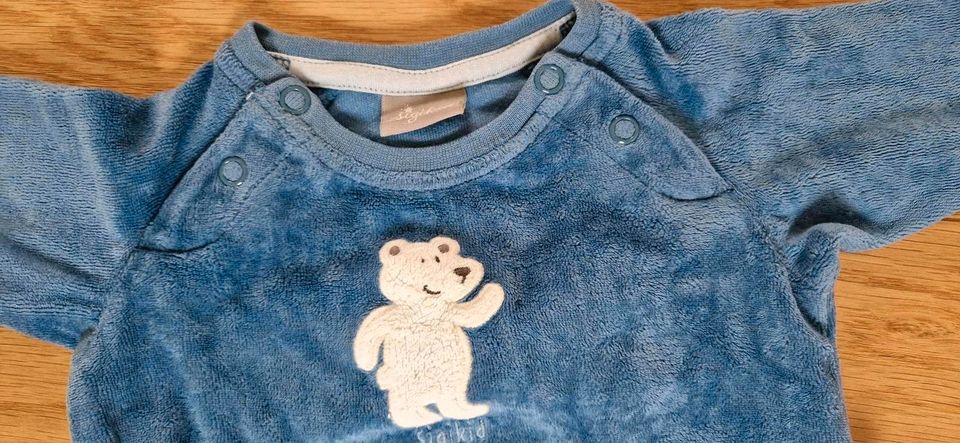 Sigikid Pullover  Größe 56 2M Babypulli Baby Blau Pulli Bärchen in Maintal