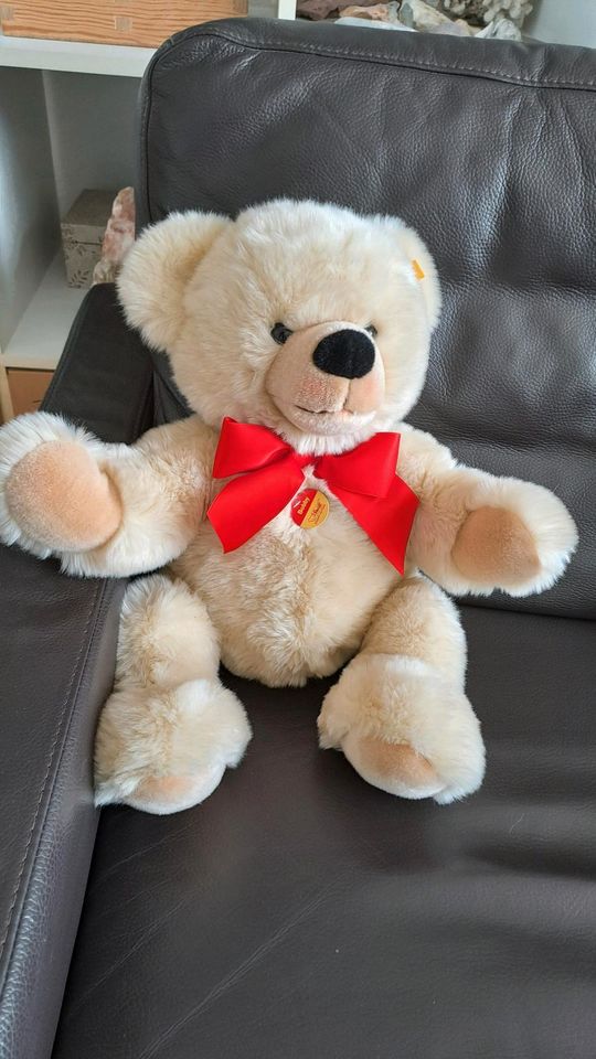 Neu...Steiff Schlenkerteddy Bobby 50 in Heidelberg