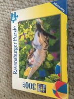 Top Ravensburger Puzzle 300 xxl 9+ Katze Kätzchen Leipzig - Leipzig, Zentrum-Ost Vorschau