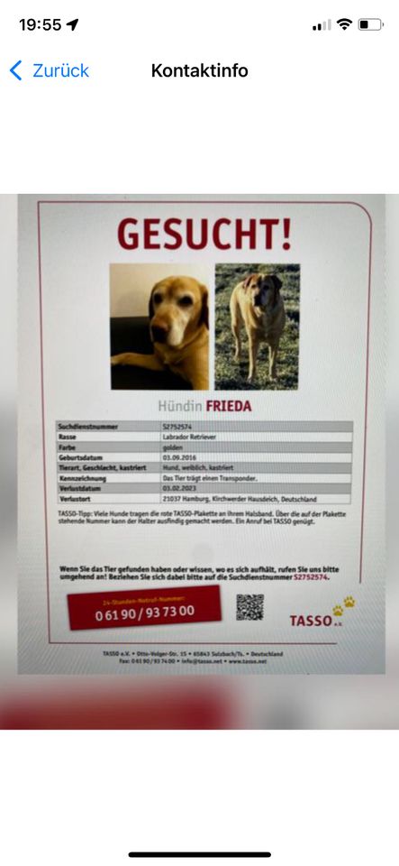 *** HUND ENTLAUFEN *** Labrador in Kirchwerder in Hamburg