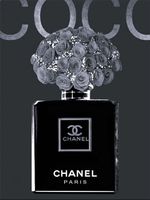 Coco Chanel, Fotodruck 20 x 30 cm, glänzend, Blumen Design Niedersachsen - Celle Vorschau