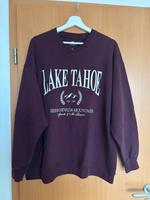 Hollister Pullover Gr. L Nordrhein-Westfalen - Steinhagen Vorschau