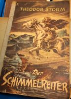 Haushaltsauflösung: Novelle der Schimmelreiter Nordrhein-Westfalen - Kaarst Vorschau