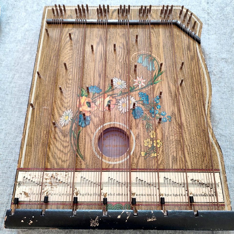 Musikinstrument Seiteninstrument Antik Schweden in Braunschweig