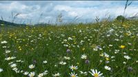 Suche Wiese Acker Wald Garten Grundstück Langenleiten 97657 Bayern - Sandberg Vorschau