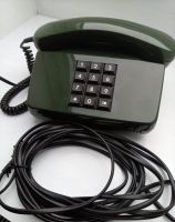 grünes Tastentelefon Vintage Schleswig-Holstein - Wendtorf Vorschau