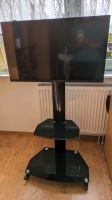 Fernseher Nokia Smart TV 3200A 80 cm 32" Sachsen - Ottendorf-Okrilla Vorschau