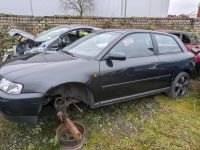 Schlachtfest Audi A3 8L Blau LZ5L,Schwarz LZ9U Nordrhein-Westfalen - Gronau (Westfalen) Vorschau