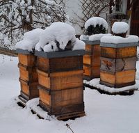 Bienenvolk auf Zander mit Heroldbeute Kr. München - Ottobrunn Vorschau