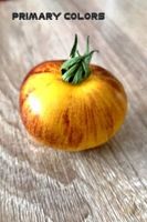 Tomatensamen Saatgut  1,50€/Sorte/10 Samen Nordrhein-Westfalen - Hagen Vorschau