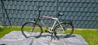 Bergamont Horizon N7,Herren Trekkingbike,28er Nordrhein-Westfalen - Xanten Vorschau