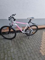 Mountainbike 26 Zoll zu verkaufen Hessen - Viernheim Vorschau