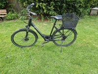 Damen Fahrrad Pegasus Strong SL 28 Zoll Leipzig - Gohlis-Mitte Vorschau