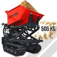 Minidumper RR500DHKAH PRO [Hochkipper] 500kg SCHORR PRO Raupendumper Mulde Benzindumper Dumper Emsbüren - Ahlde Vorschau