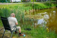 14 Tage Zelten auf Campingplatz mit Angelsee und Schwimmteich Niedersachsen - Rhede Vorschau