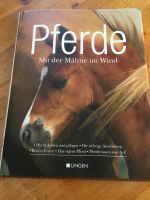 Pferdesachbuch „Mit der Mähne im Wind „ Bayern - Plattling Vorschau