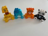 Lego Duplo Mein erster Tierzug Nordrhein-Westfalen - Wiehl Vorschau