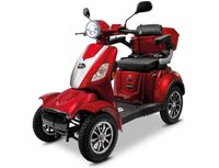 Rolektro E-Quad 25 V.3 Lithium Akku, 1000 Watt Seniorenmobil Brandenburg - Herzberg/Elster Vorschau