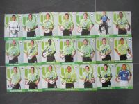 21 handsignierte Autogrammkarten+++VFL WOLFSBURG+++2001/2002++TOP Baden-Württemberg - Großbottwar Vorschau