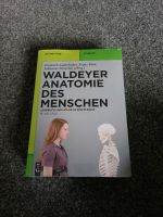 NEU Waldeyer Anatomie des Menschen 19. Auflage Mecklenburg-Vorpommern - Greifswald Vorschau